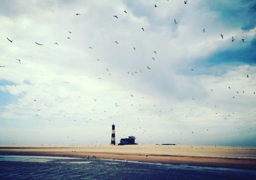 Catamaran Boat Cruise📍Swakopmund▶️N$ 1370˺ pp Catamaran Boat Cruise📍Swakopmund▶️N$ 1370˺ pp