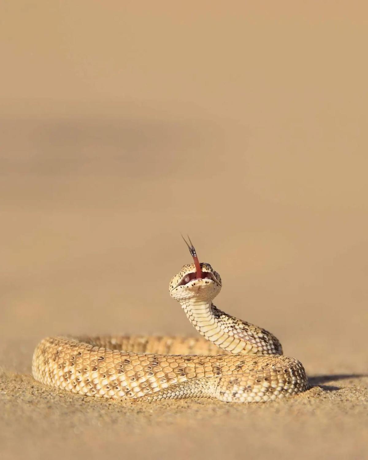 Sandwich Harbour📍Swakopmund▶️N$ 2700˺ pp Sandwich Harbour📍Swakopmund▶️N$ 2700˺ pp