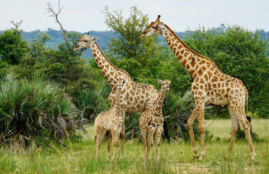 RIVERDANCE Lodge & Spa RIVERDANCE Lodge & Spa