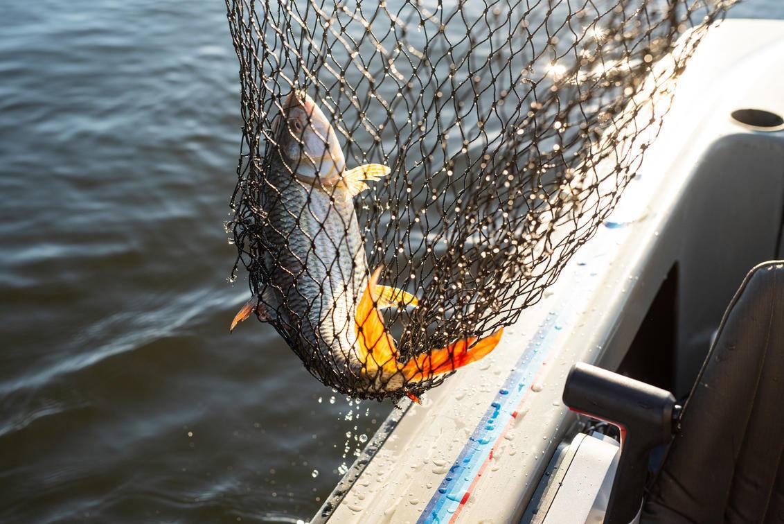 Zambezi Queen Collection Zambezi Queen Collection