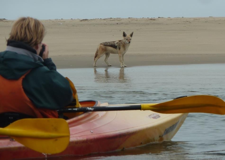 Kayaking Experience📍Swakopmund▶️N$2330˺ pp Kayaking Experience📍Swakopmund▶️N$2330˺ pp