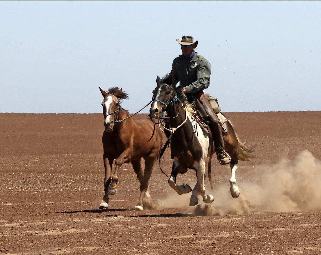 🏜️ Desert Horseback Rides📍 ▶️N$ 1150˺ pp 🏜️ Desert Horseback Rides📍 ▶️N$ 1150˺ pp