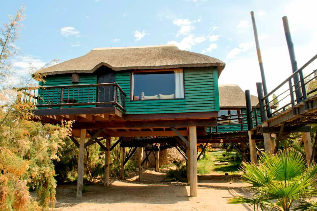 The Stiltz The Stiltz