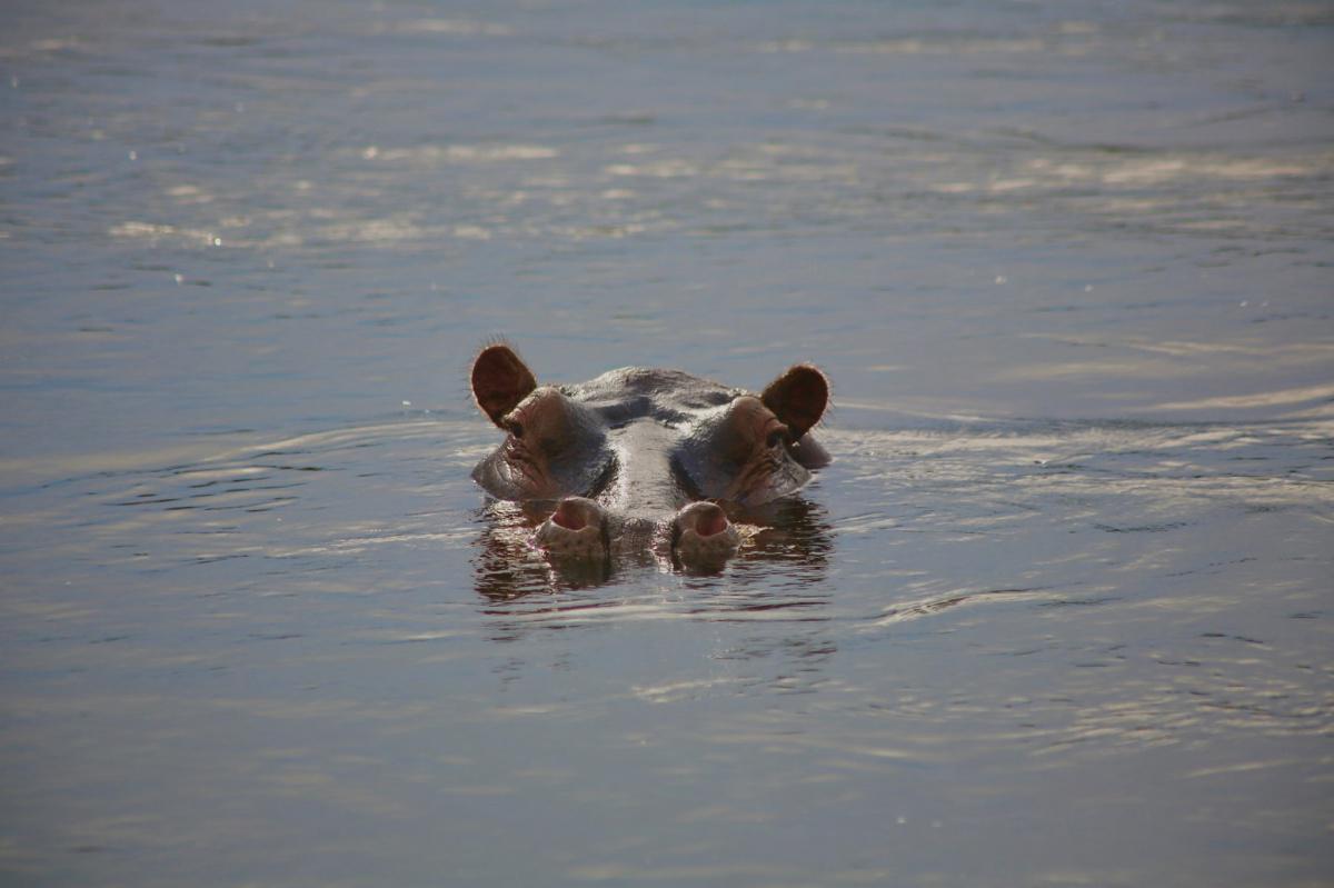 Rainbow River Lodge Rainbow River Lodge