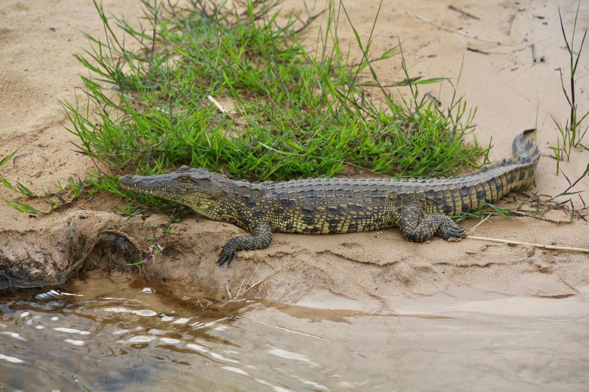 Rainbow River Lodge Rainbow River Lodge