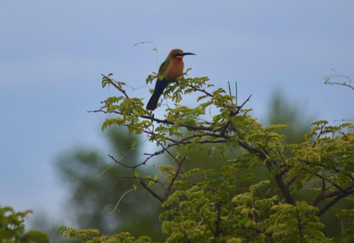 Rainbow River Lodge Rainbow River Lodge