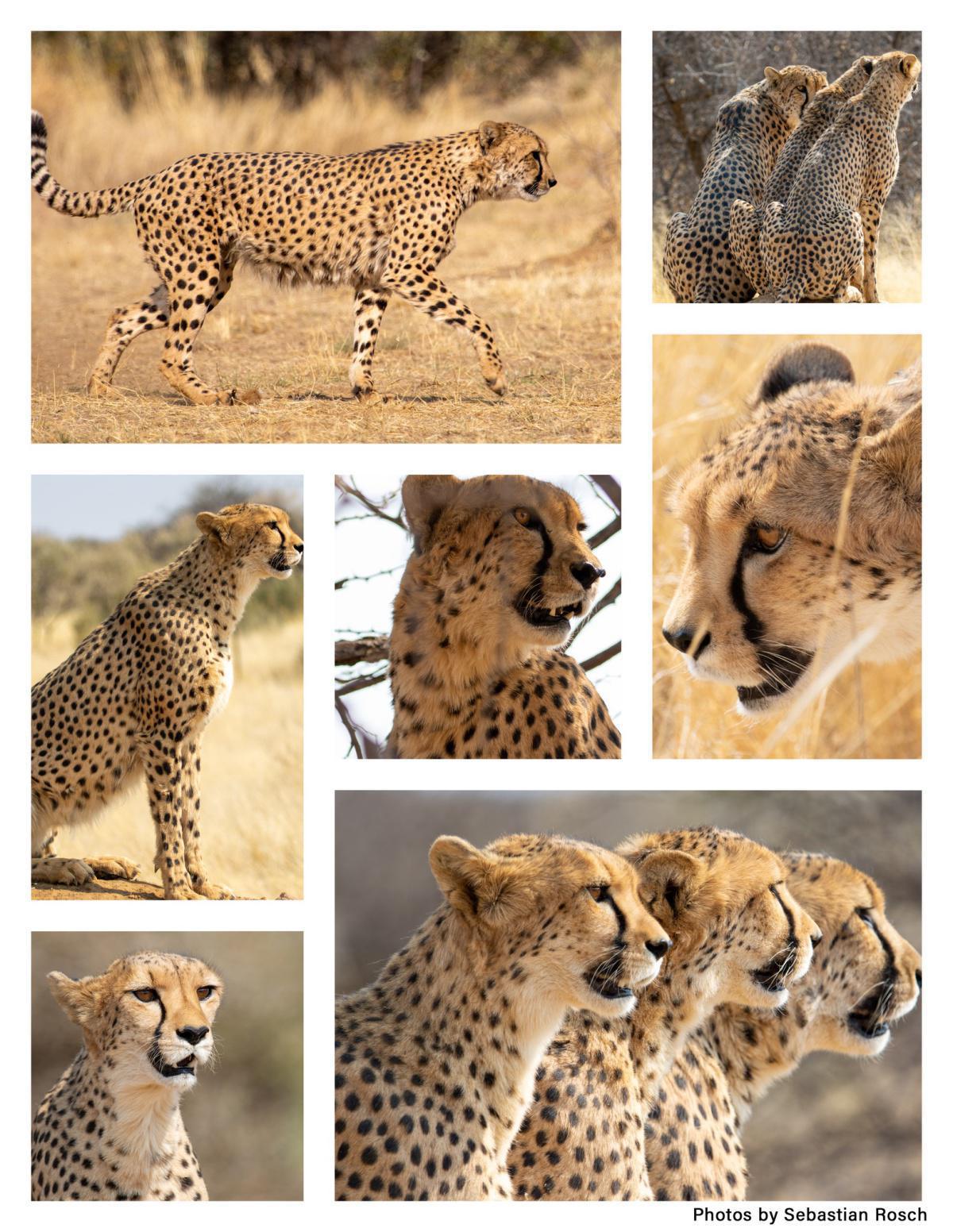 Naankuse Lodge Naankuse Lodge