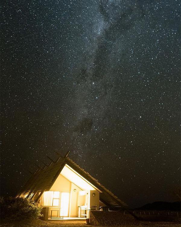 Desert Quiver Camp Desert Quiver Camp