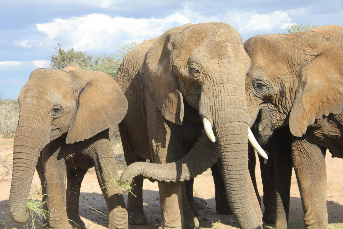 Klein Eden Guest Farm Klein Eden Guest Farm