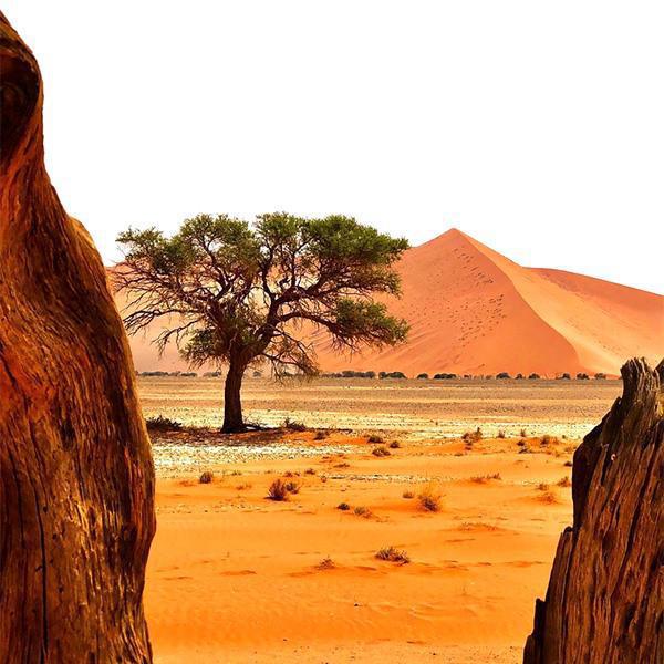 Sossusvlei Lodge Sossusvlei Lodge