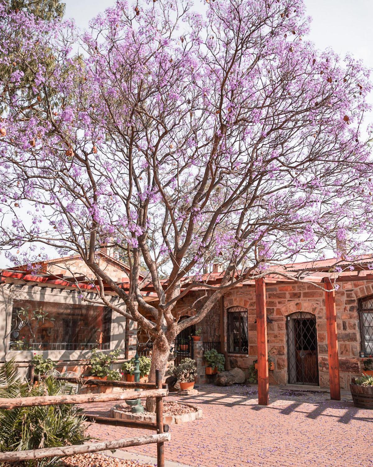 Voigtland Guesthouse Voigtland Guesthouse