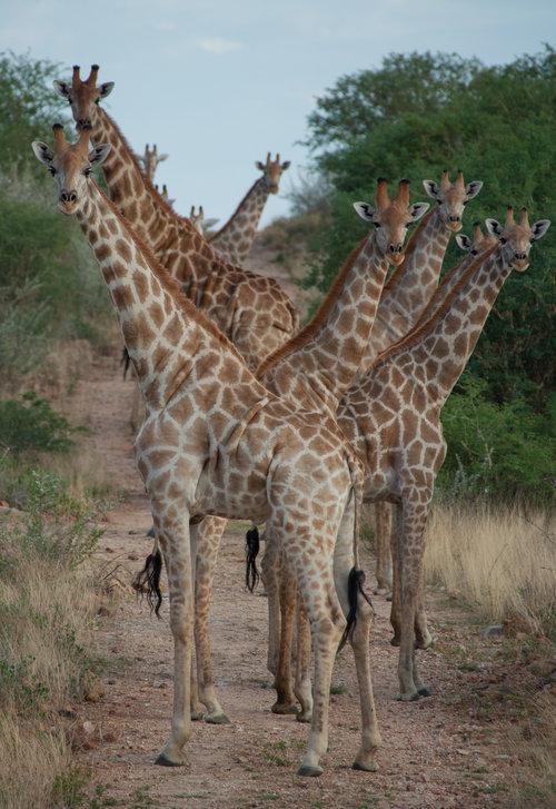 Sney Rivier Lodge Sney Rivier Lodge