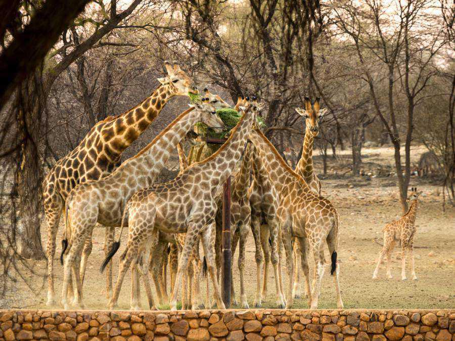 Omaruru Game Lodge Omaruru Game Lodge