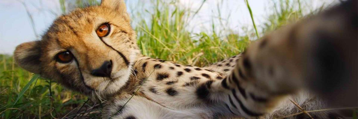 Frans Indongo Lodge Frans Indongo Lodge