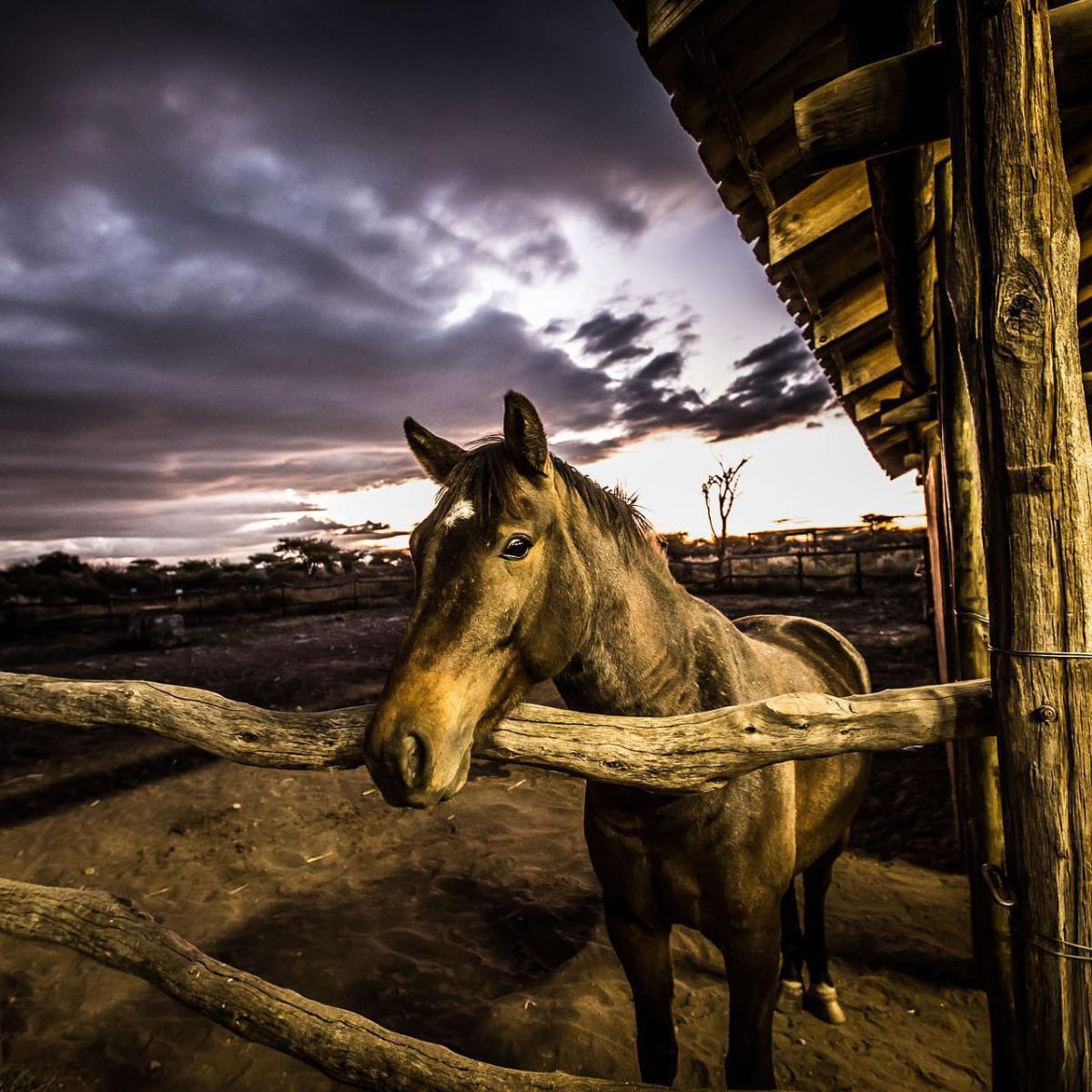 Kambaku Safari Lodge Kambaku Safari Lodge