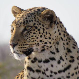 Shametu River Lodge & Campsite Shametu River Lodge & Campsite