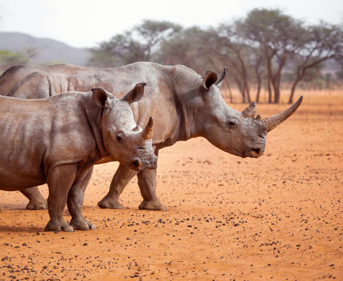 Habitas Namibia Habitas Namibia