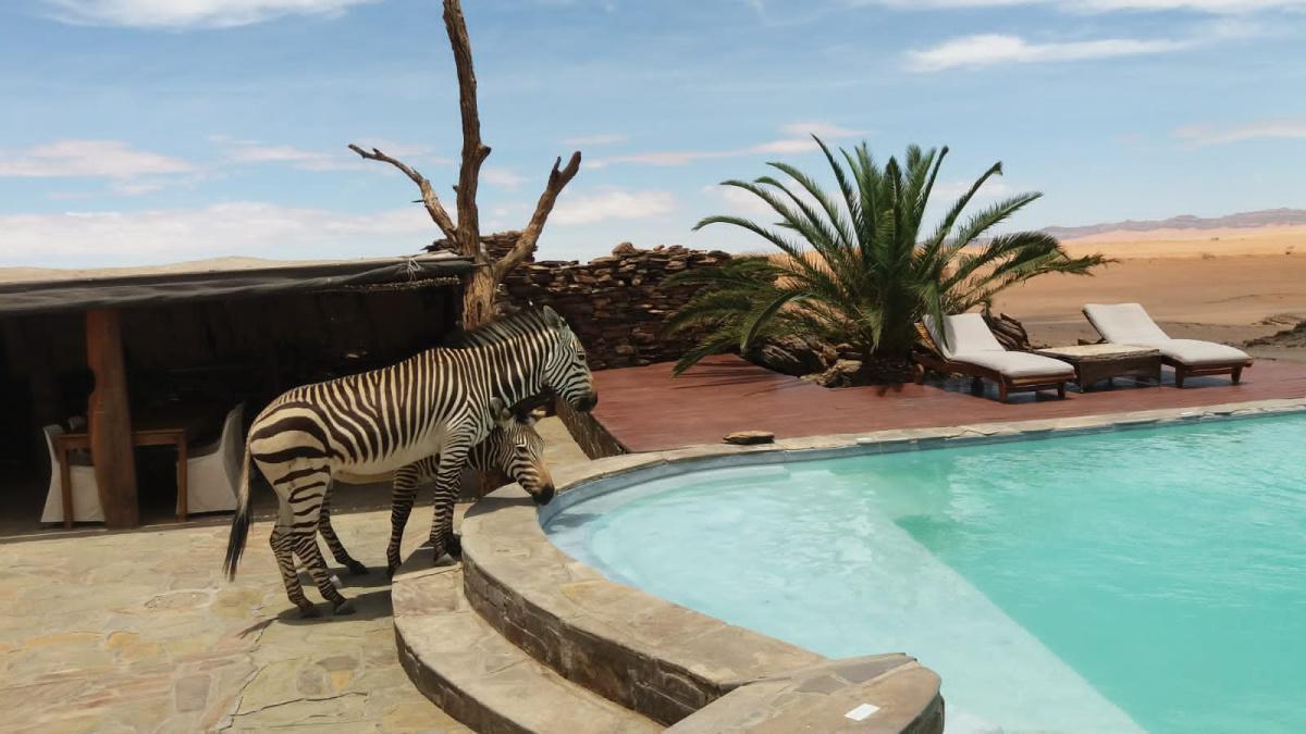 Rostock Ritz Desert Lodge