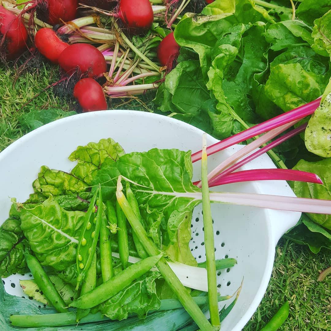 Salty Jackal Backpackers & Surf Camp Salty Jackal Backpackers & Surf Camp