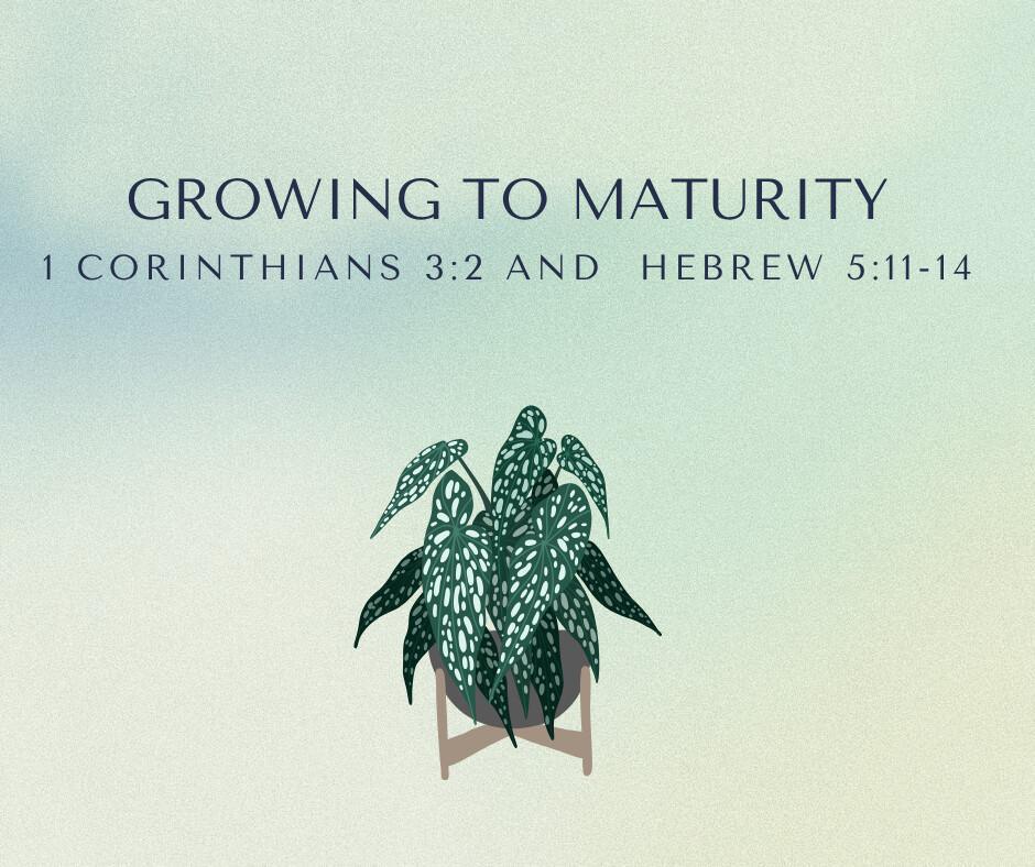 Growing to Maturity