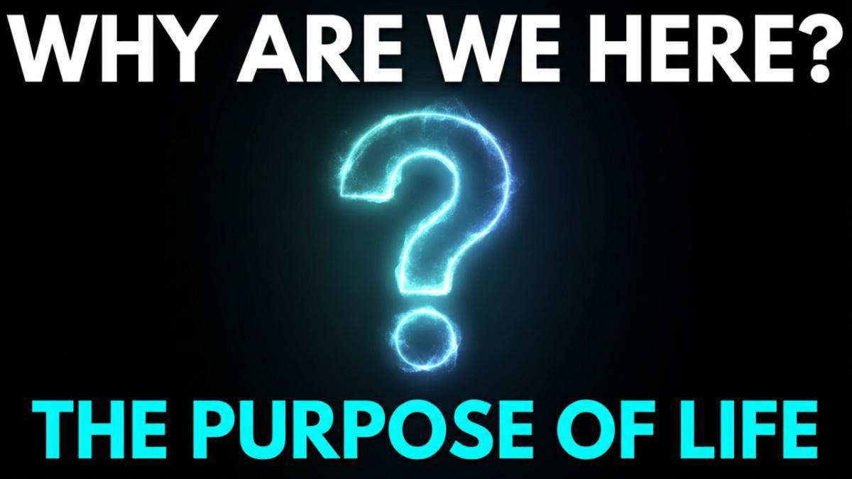 So… What’s the Point of Life? So… What’s the Point of Life?