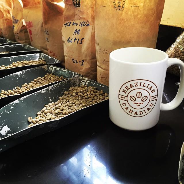 Brazilian Canadian Coffee Co. Ltd