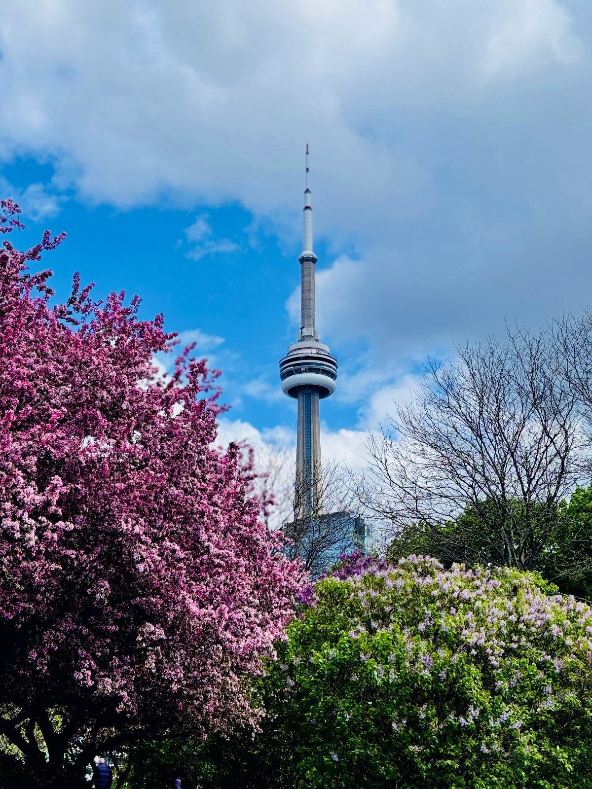 Chocolate Eggs and Candlelit Processions