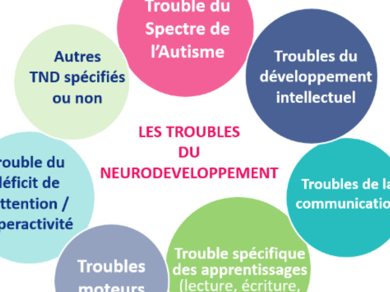 Échec scolaire et troubles neurodéveloppementaux : lever le tabou, enfin