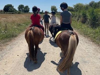 La petite écurie La petite écurie