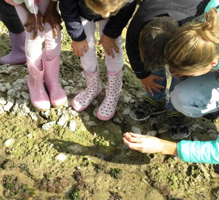 E.C.O.L.E de la mer E.C.O.L.E de la mer