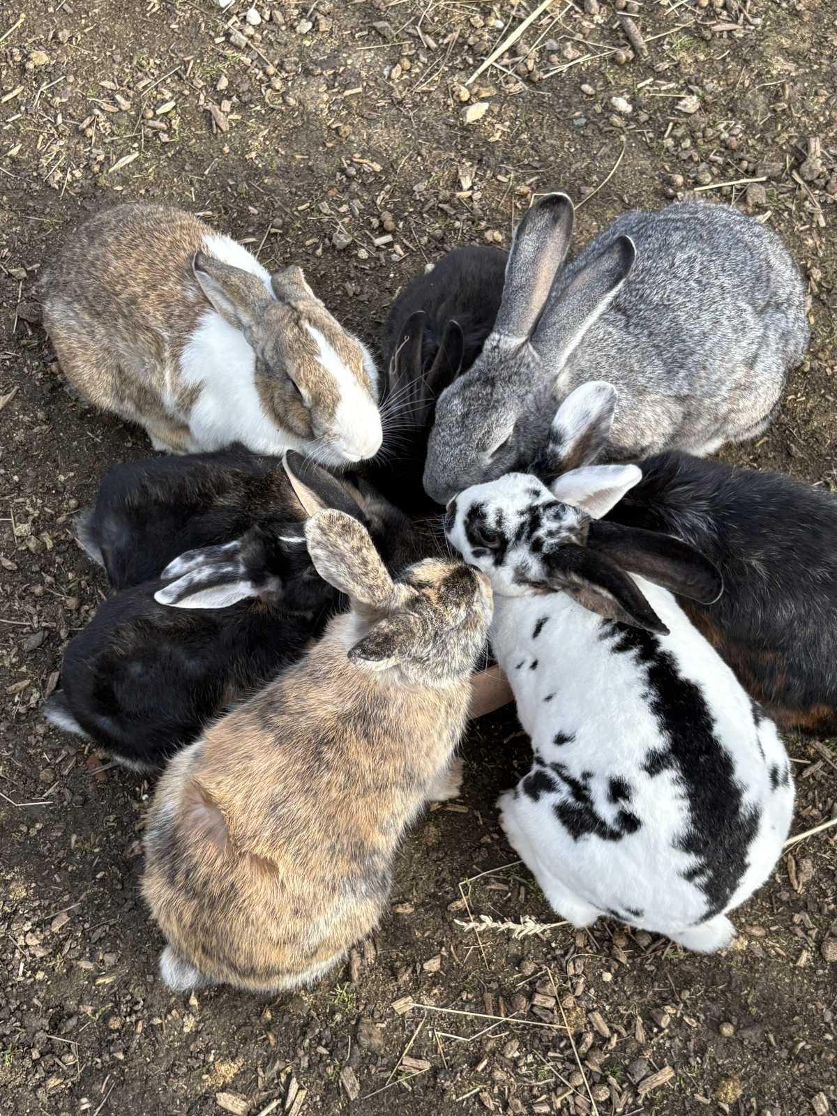 La ferme du Grand Chemin La ferme du Grand Chemin