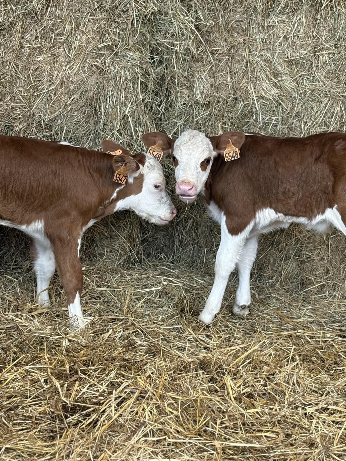 La ferme du Grand Chemin La ferme du Grand Chemin