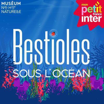 Bestioles sous l'océan - Podcasts et histoires pour enfants Bestioles sous l'océan - Podcasts et histoires pour enfants