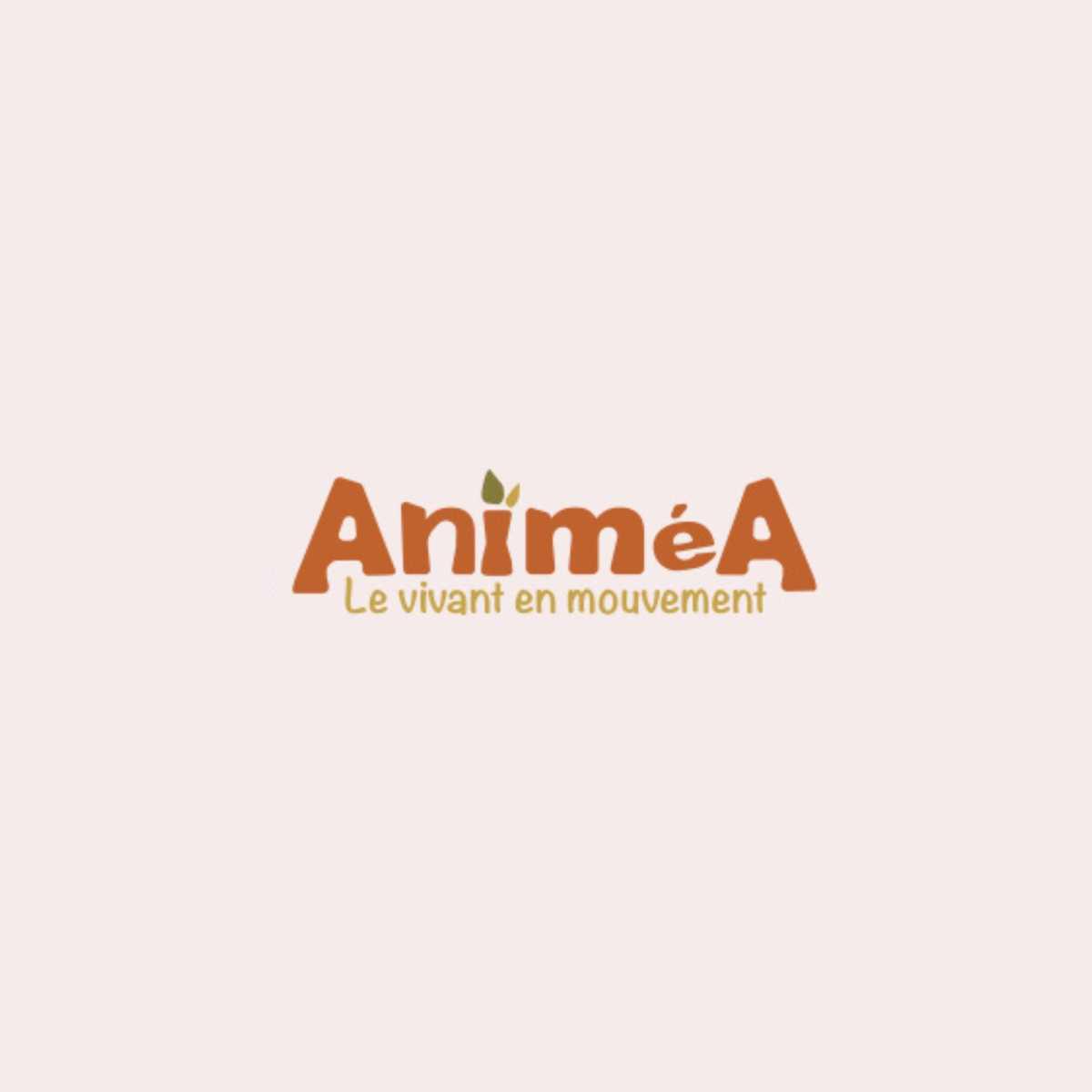 Animéa Animéa