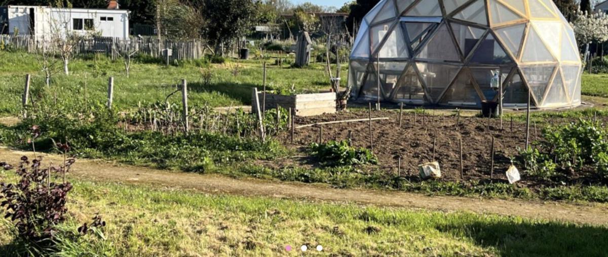 Découverte du potager & plantations