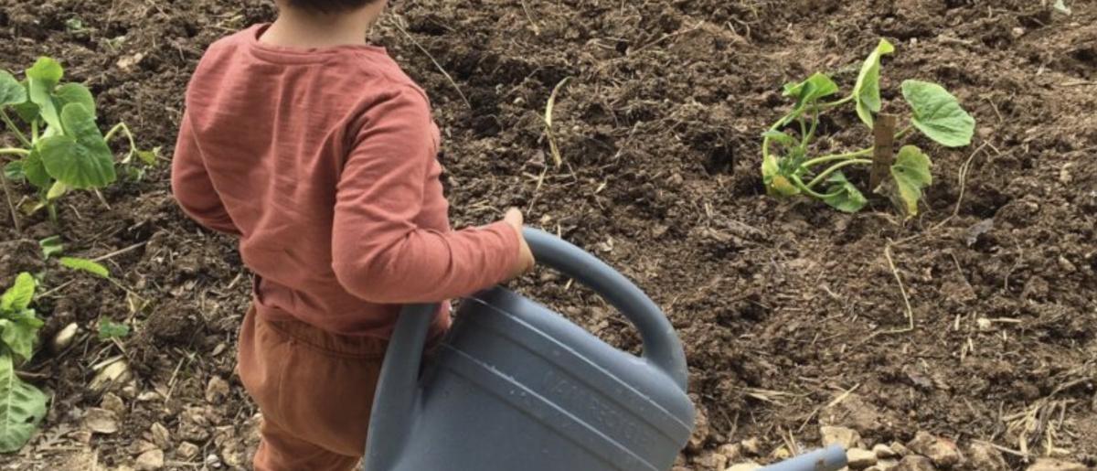 Atelier plantations – Jardins de la Lagune