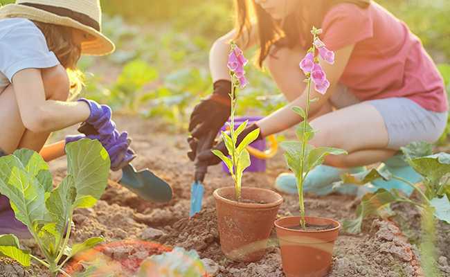 Jardinons à l'école...et ailleurs!