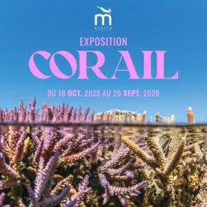 Coraux et compagnie