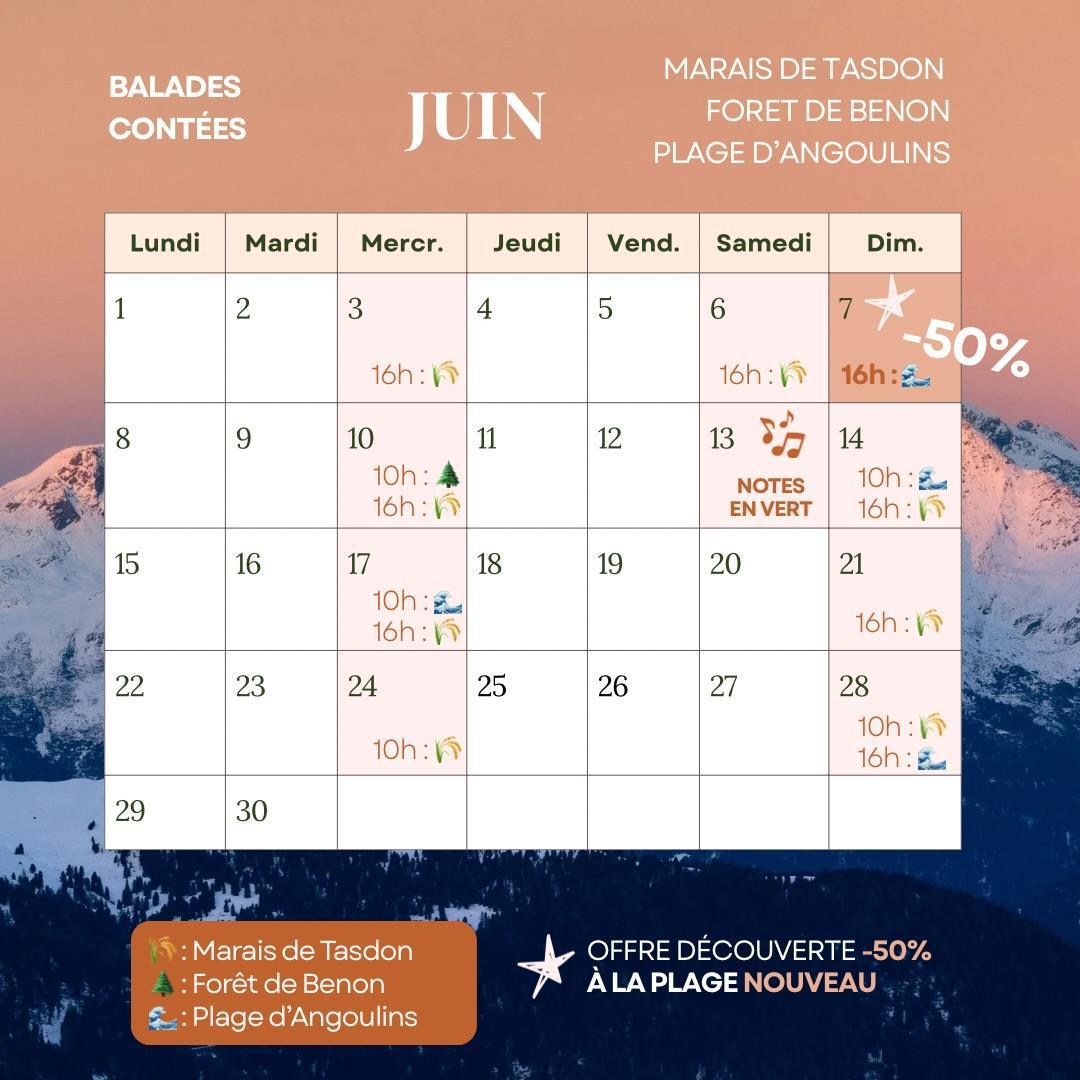 Balades contées en juin : Forêt / Marais / Plage 