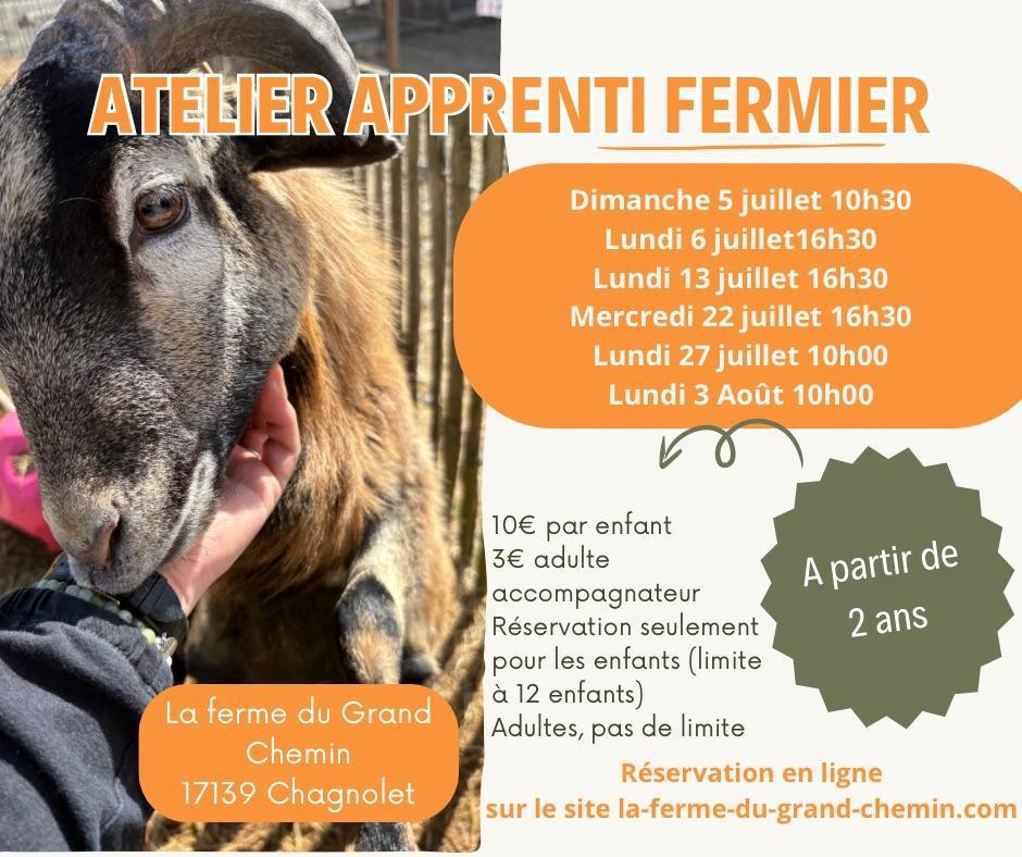 Juillet / Août - Atelier Apprenti fermier