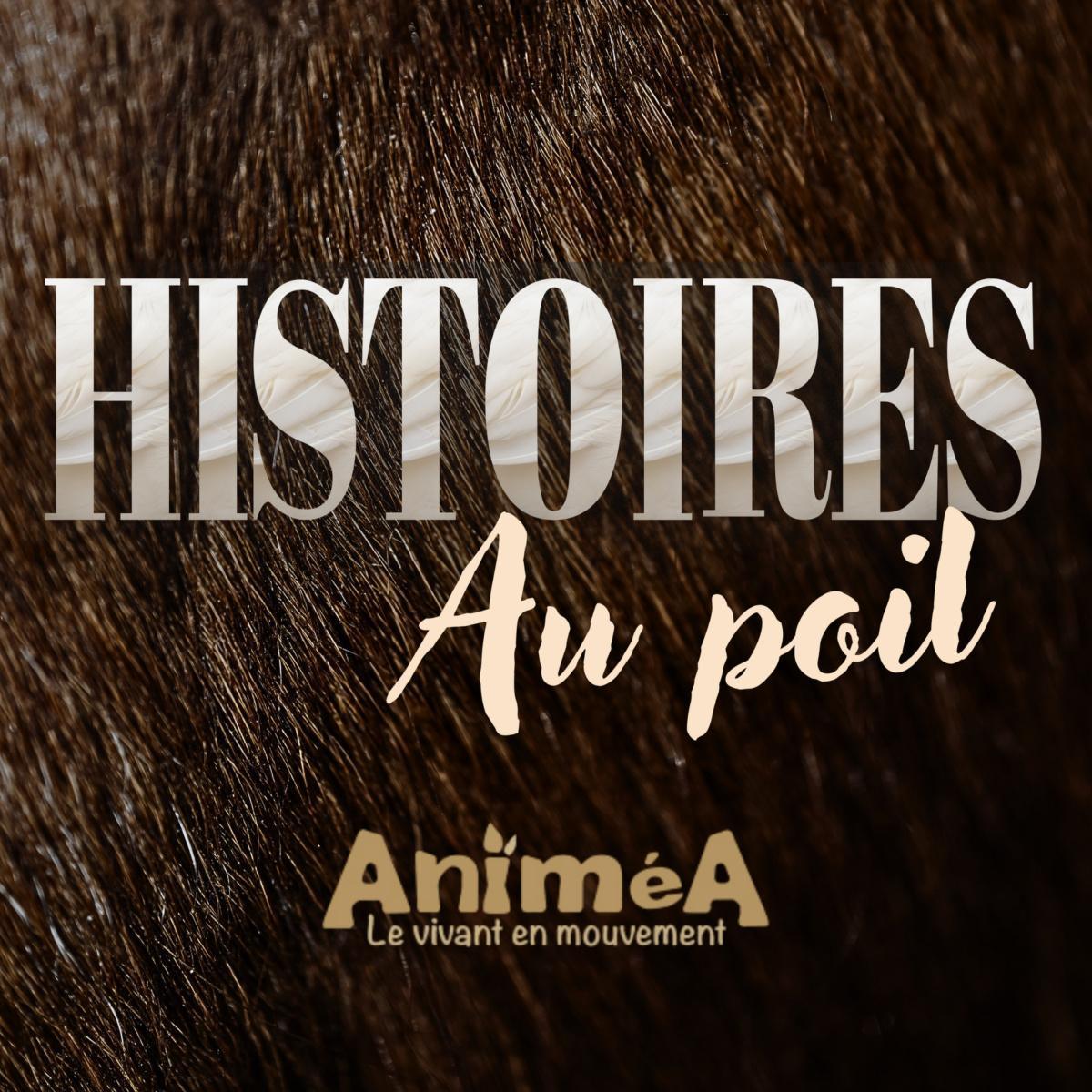 Histoires Au poil
