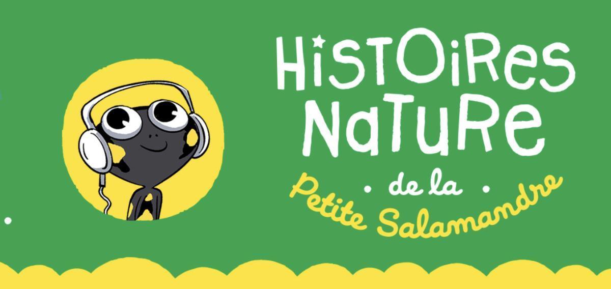 Histoires nature de la Petite Salamandre 
