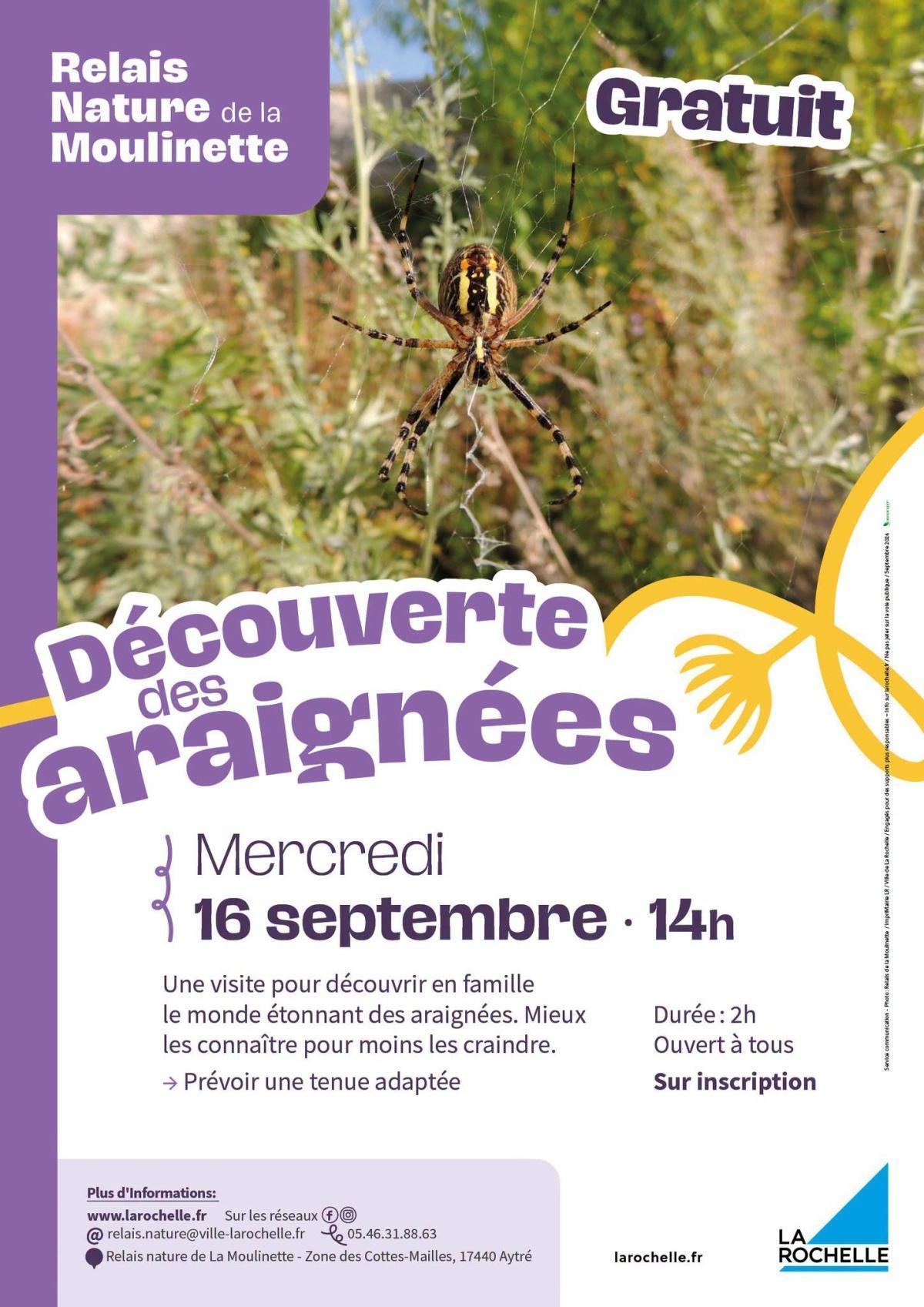 À la découverte des araignées
