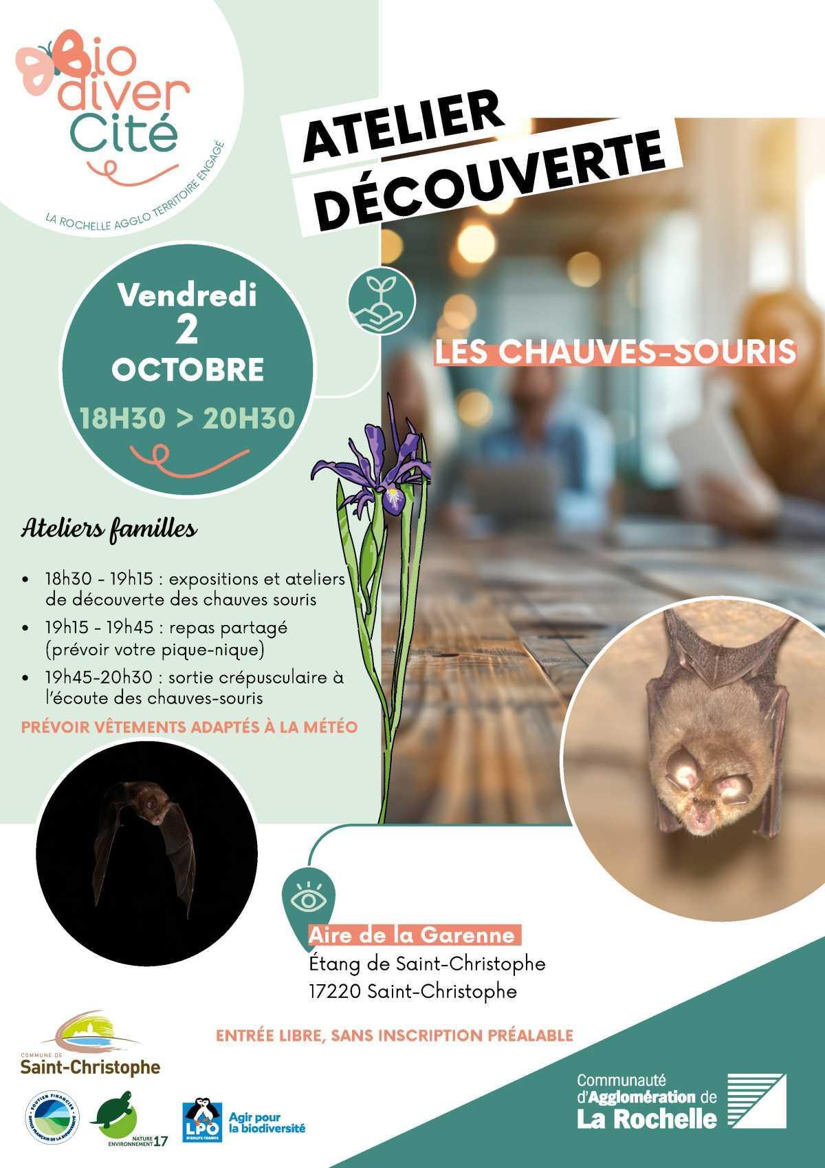 Atelier découverte des chauves-souris