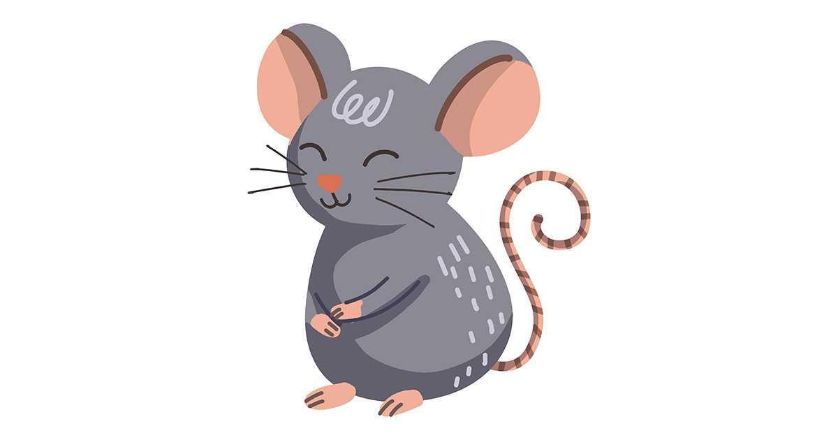 Spectacle « Souris et chat »