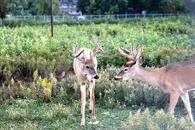 Our Recommendations Our Recommendations