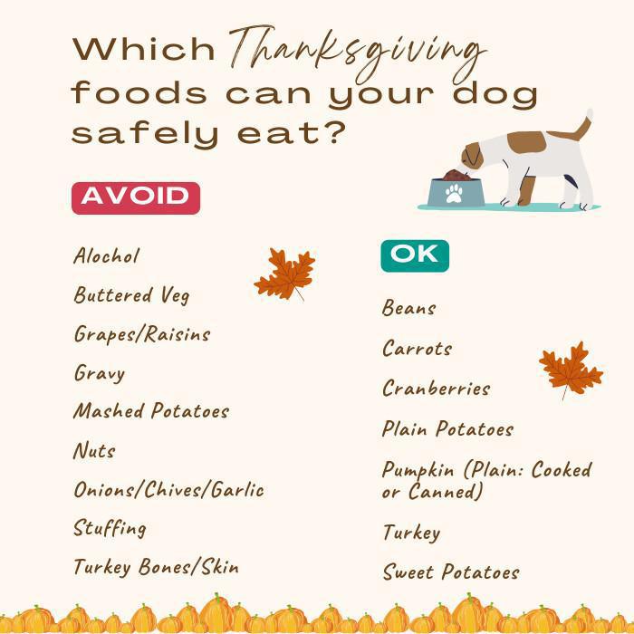 Thanksgiving Food: What to Avoid