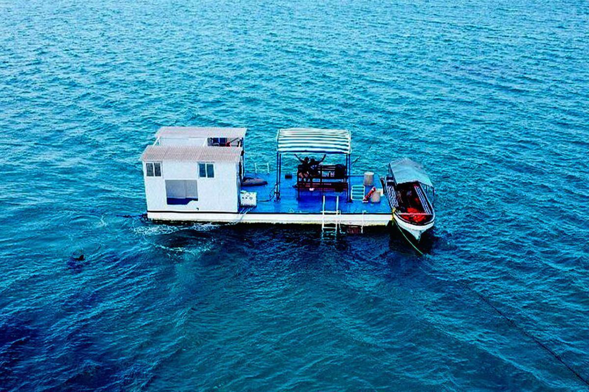 Zanzibar Seawalk📍Nungwi ▶️ $70