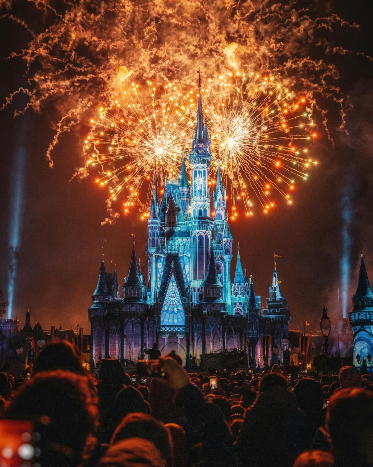 Privatisation de Disneyland Paris