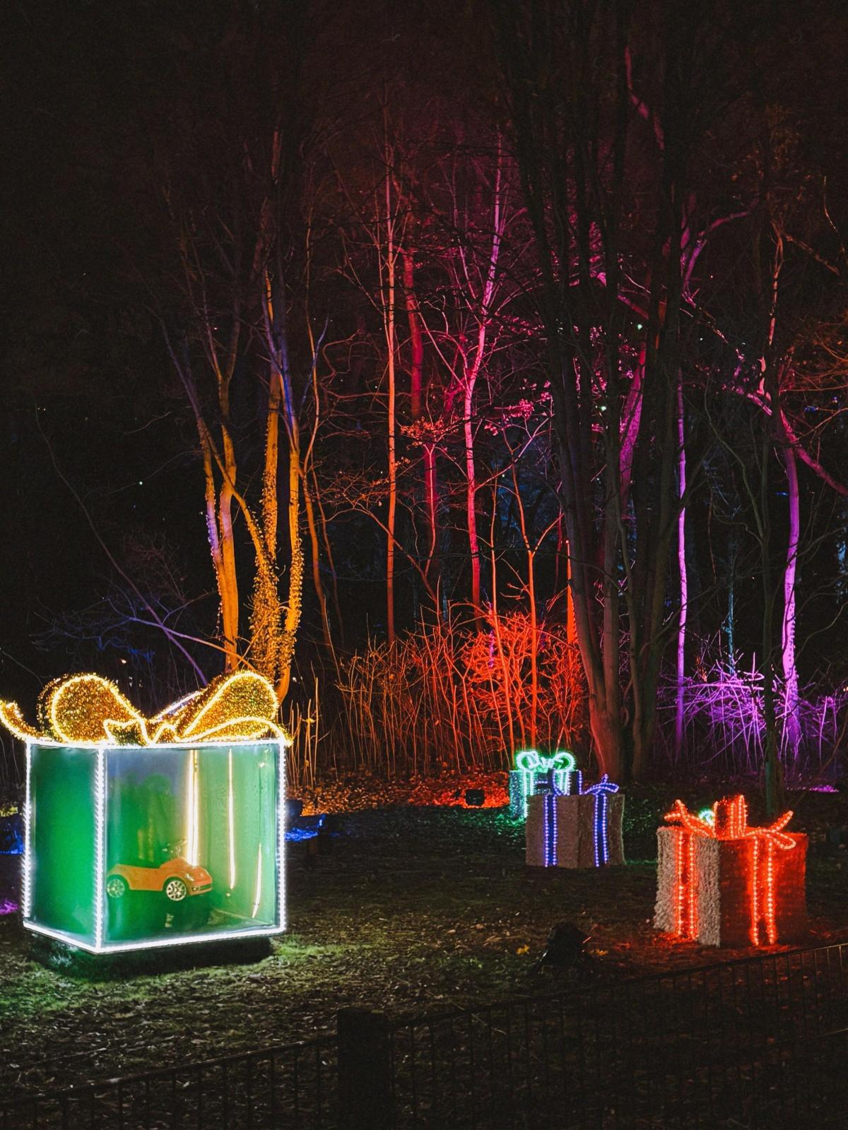 Arbres de Noël 2025 Arbres de Noël 2025